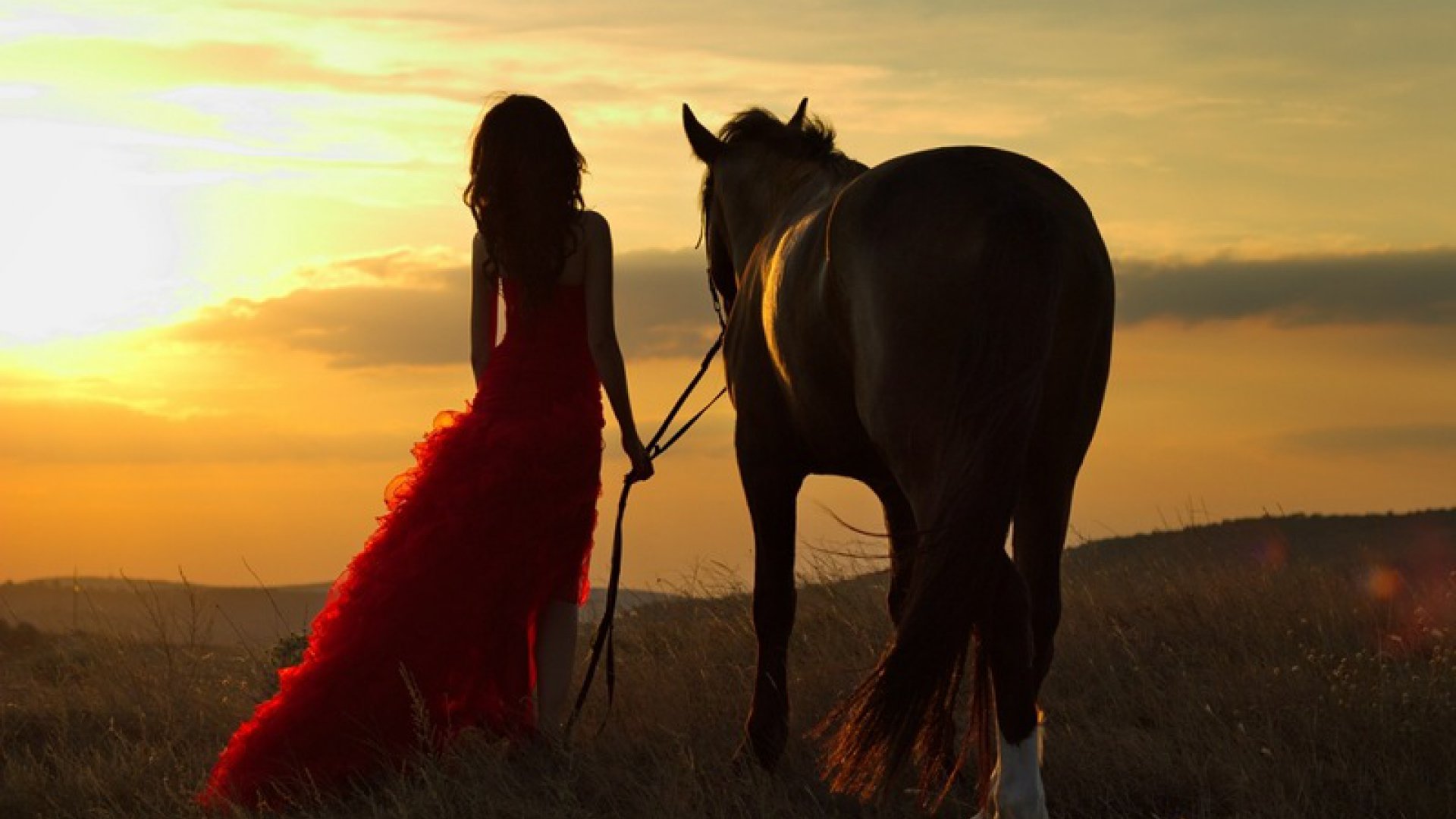 Союз выйду ночью. Лошади на закате. Девушка на лошади на закате. Девочка на лошади. Девушка на лошади со спины.