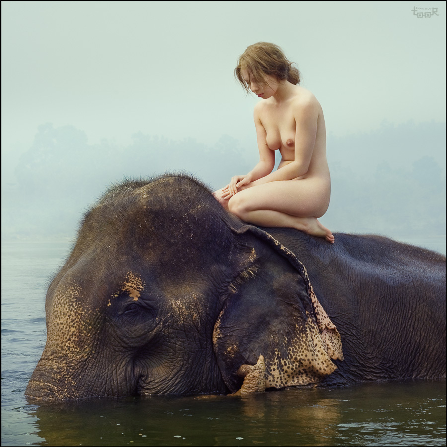 Elephant And Girl Sex