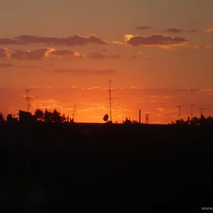 Алина Сорокина's photo