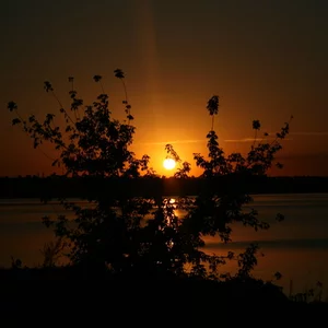 Aleksandr Abramcenko's photo