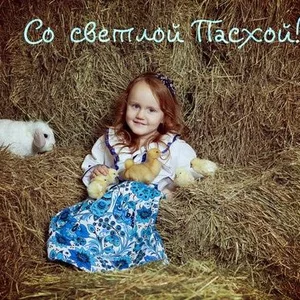 nika dmitrieva's photo