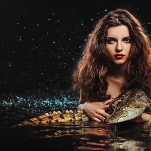 Photo 7271287
