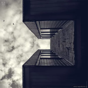 Stas Novikov's photo