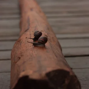 Dasha Bu's photo