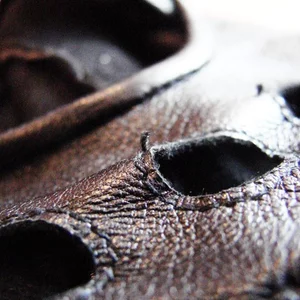 Ferle Ferle's photo