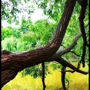 Aleksandr Titov's photo