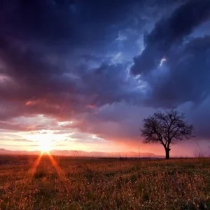 Petr Sidenko's photo