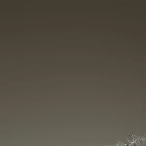 Фото 01, или Размышления о месте и отношении человека к Миру