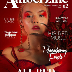 AMBERZINE Magazine picture