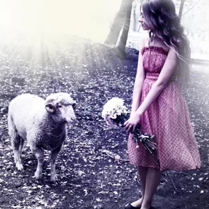 Vilena Pavlik's photo