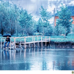 Roman Muhin's photo