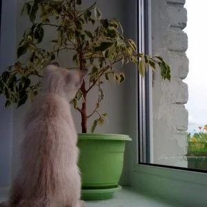Olya Kozachuk's photo