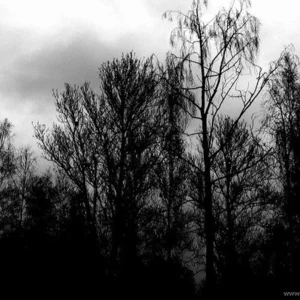 Nikolaj Veselov's photo