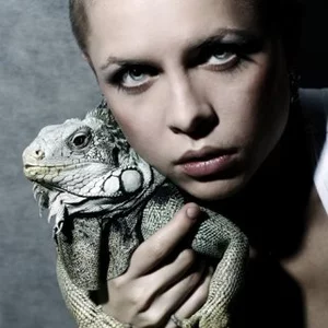 iguanidae