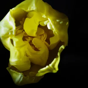 Foto von Darija Mor