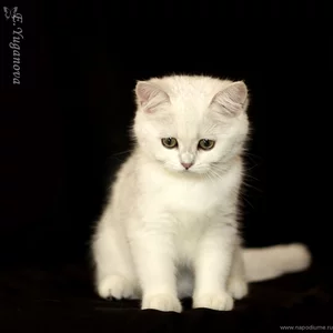 Evgenia Uganova's photo