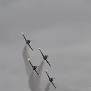 Sergey Levin's photo