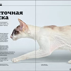 Журнал "Pets" Май 2009