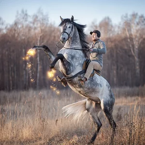 Foto Denis Timofeev