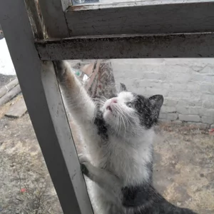 Маша Гришина's photo