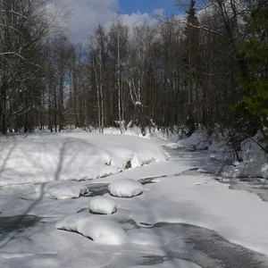 Aleksej Peskov's photo