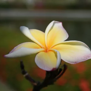 Pavel Garas'ko's photo