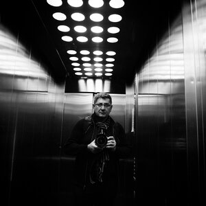 Alex Krivtsov picture
