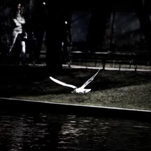 Ura kolas's photo