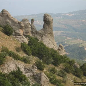 Andrej Taranin's photo