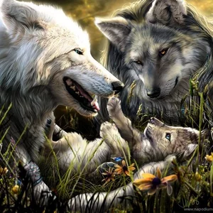 Natasa Trepalova's photo