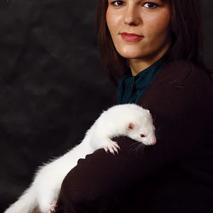 студия,   воронеж 