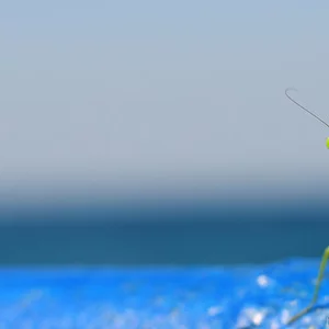 Andrew Evdokimenko's photo