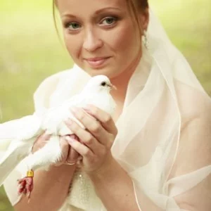 Foto von Ulia Sirokopetleva
