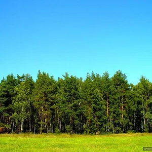 Юльчена Hate's photo