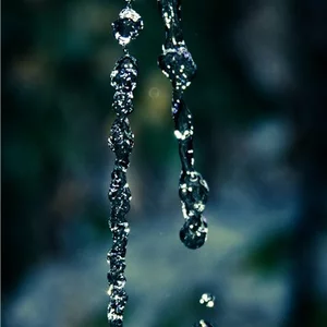 Фото Irena Skuratovs'ka
