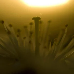 Фото Elektricman
