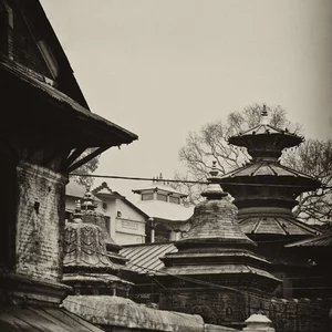 Foto von Sara Meleskevic