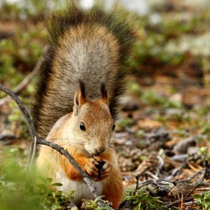 maks tuchkin's photo