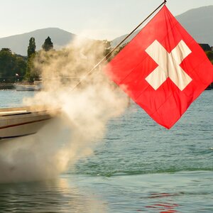 Foto 8050815