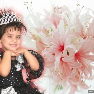 Фото ASHOT KHACHATRYAN