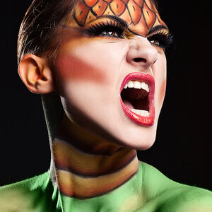 Photo 1528793