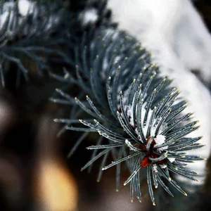 Aleksandr Abramcenko's photo