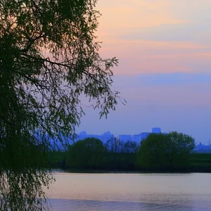 Milena Pershina's photo