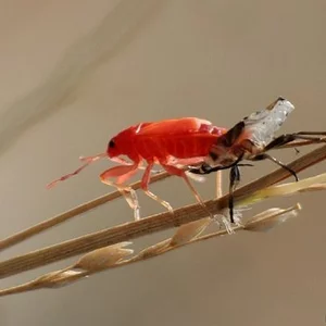 Nikolay Tatarchuk's photo