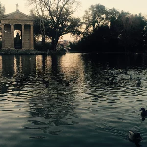 Marija Fedotova's photo