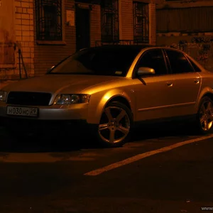Roman Petrov's photo
