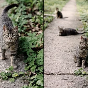 Anastasia Ostrovskaa's photo