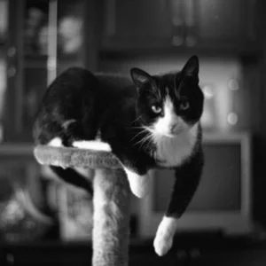 Vana Arhipkin's photo