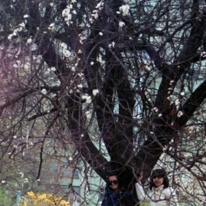 Foto Sophia Vintour