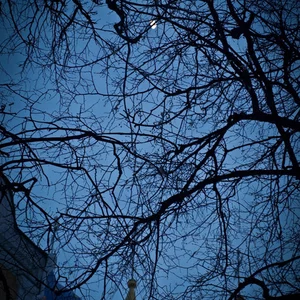 Svetlana Kolesnikova's photo